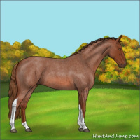 Horse Color:Red Roan Tobiano 