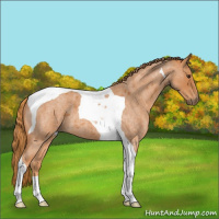 Horse Color:Red Roan Tobiano 