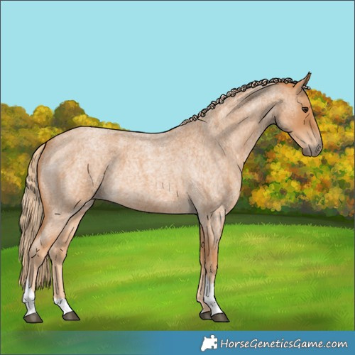 Horse Color:Red Roan Tobiano 