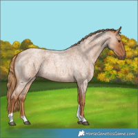 Horse Color:Red Roan Tobiano 