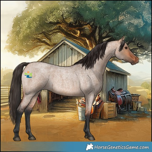 Horse Color:Bay Roan Dun 