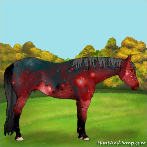 Horse Color:ERROR: UNKNOWN ANOMALY