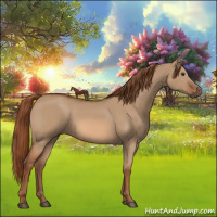 Horse Color:Red Dun 