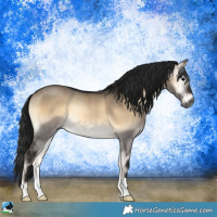 Horse Color:Gray Brown Onyx Rabicano 