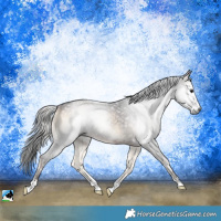 Horse Color:Gray Brown Onyx Rabicano 