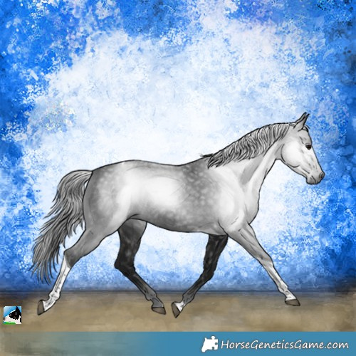 Horse Color:Gray Brown Tobiano Rabicano 