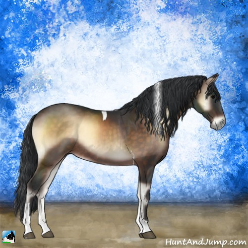 Horse Color:Brown Onyx Tobiano Rabicano 