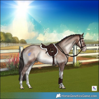 Horse Color:Sable Champagne Onyx Mushroom Rabicano
