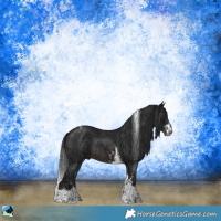 Horse Color:Brown Ice Sabino Tobiano Rabicano 