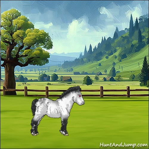 Horse Color:White Spotted Bay Chinchilla 