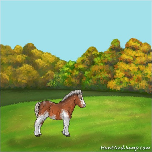 Horse Color:White Spotted Silver Brown 