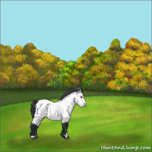 Horse Color:White Spotted Bay Chinchilla 