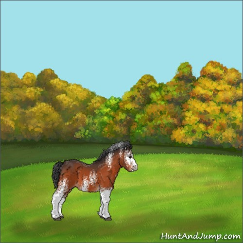 Horse Color:White Spotted Brown 