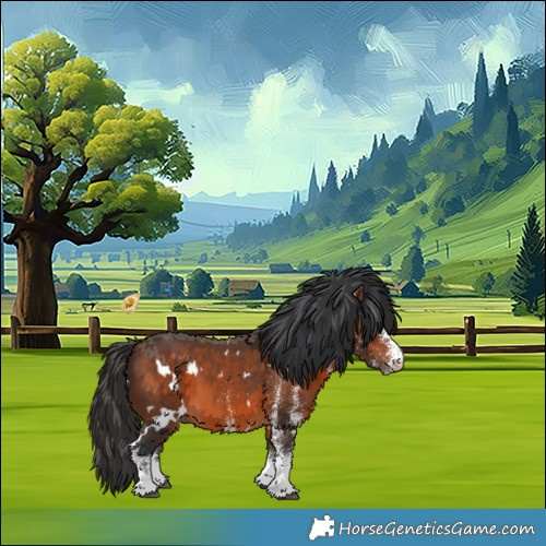 Horse Color:White Spotted Brown 