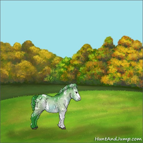 Horse Color:Watercolor White Spotted Brown 
