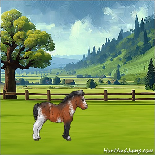 Horse Color:White Spotted Brown 