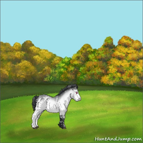 Horse Color:White Spotted Bay Chinchilla 