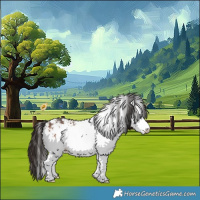 Horse Color:White Spotted Bay 