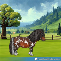 Horse Color:White Spotted Brown 