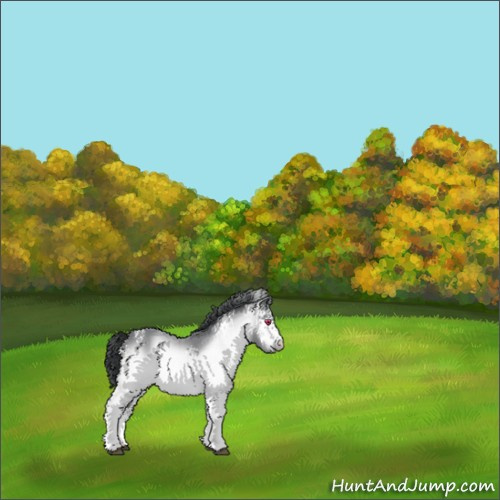 Horse Color:White Spotted Bay Chinchilla 