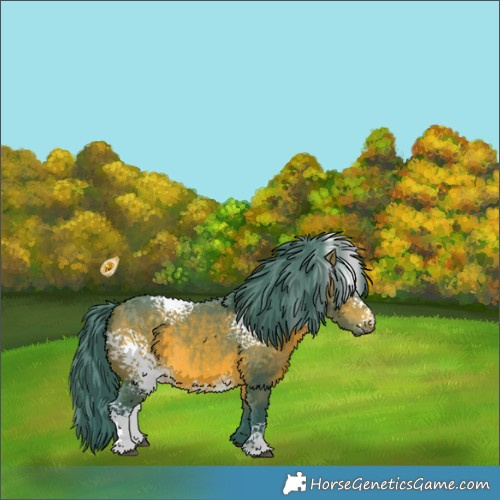 Horse Color:Watercolor White Spotted Bay 