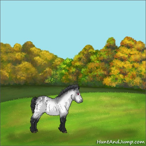 Horse Color:White Spotted Brown Chinchilla 