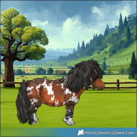 Horse Color:White Spotted Bay 