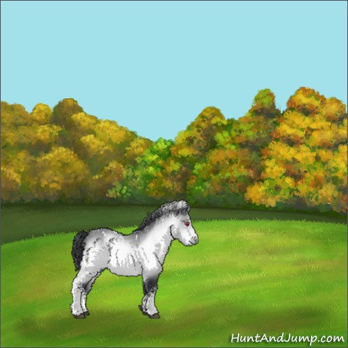 Horse Color:White Spotted Brown Chinchilla 