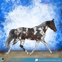Horse Color:White Spotted Brown Mushroom Tobiano 