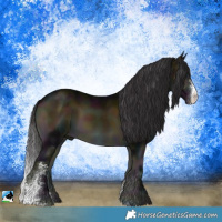Horse Color:Midnight Buckskin Onyx Sabino Rabicano