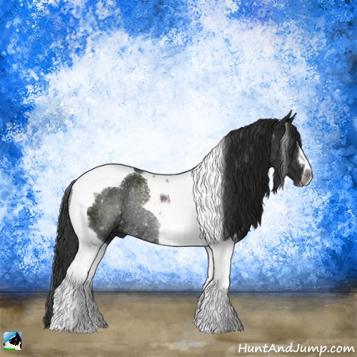 Horse Color:Gray Black Tobiano Rabicano 