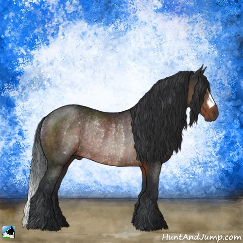 Horse Color:Brown Rabicano 