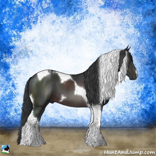 Horse Color:Brown Tobiano 