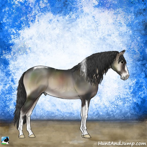 Horse Color:Blue Onyx Sabino Tobiano 
