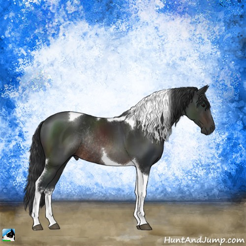Horse Color:Brown Sabino Tobiano Rabicano 