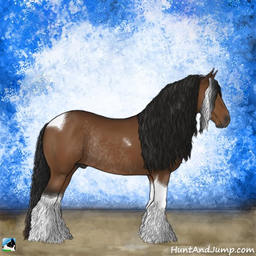 Horse Color:Gray Buckskin Tobiano Rabicano 