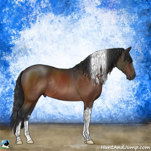 Horse Color:Brown Mushroom Tobiano Rabicano 