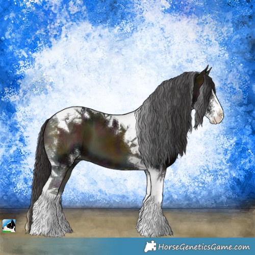 Horse Color:Midnight Buckskin Onyx Sabino Tobiano