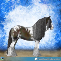 Horse Color:Midnight Buckskin Onyx Sabino Tobiano