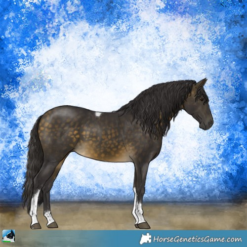 Horse Color:Buckskin Mushroom Sabino Tobiano