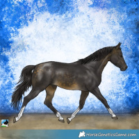 Horse Color:Buckskin Mushroom Sabino Tobiano