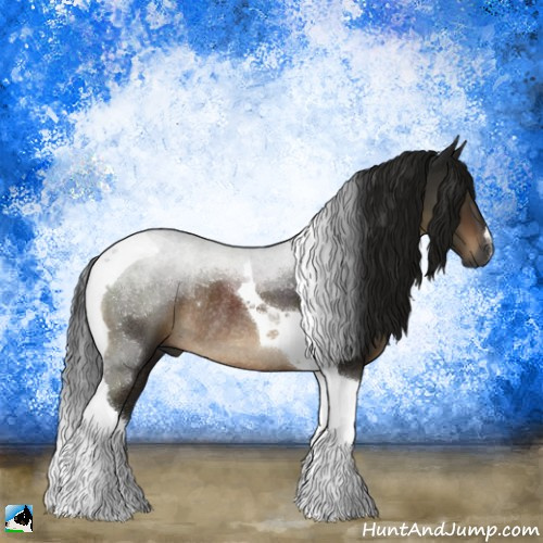 Horse Color:Gray Brown Tobiano Rabicano 