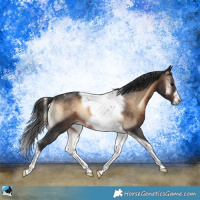 Horse Color:Brown Onyx Tobiano Frame 