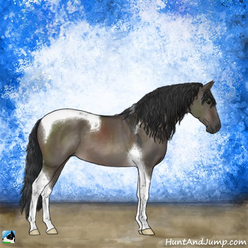Horse Color:Brown Dun Mushroom Tobiano 