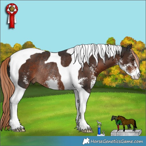 Horse Color:Liver Chestnut Sabino Tobiano Rabicano 