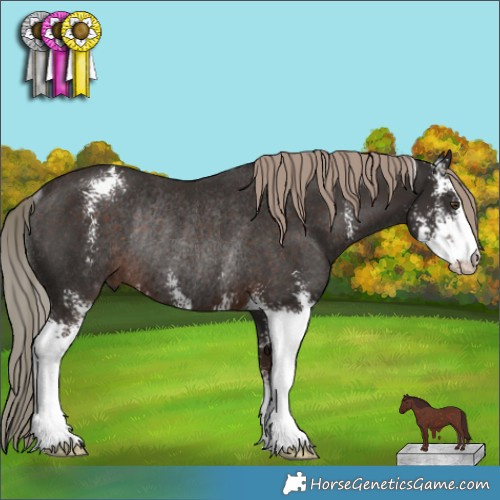 Horse Color:Liver Chestnut Sabino Rabicano 