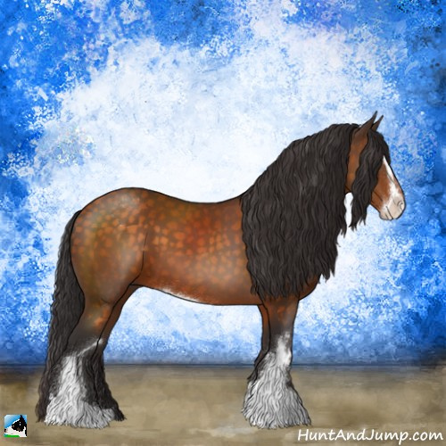 Horse Color:Buckskin Sabino 