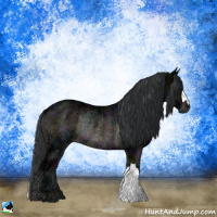 Horse Color:Midnight Brown Ice Onyx Rabicano 