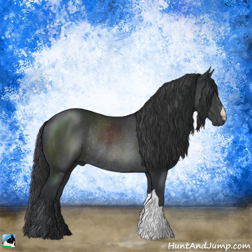 Horse Color:Black Rabicano 