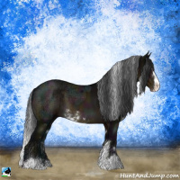 Horse Color:Midnight Brown Ice Sabino Rabicano 